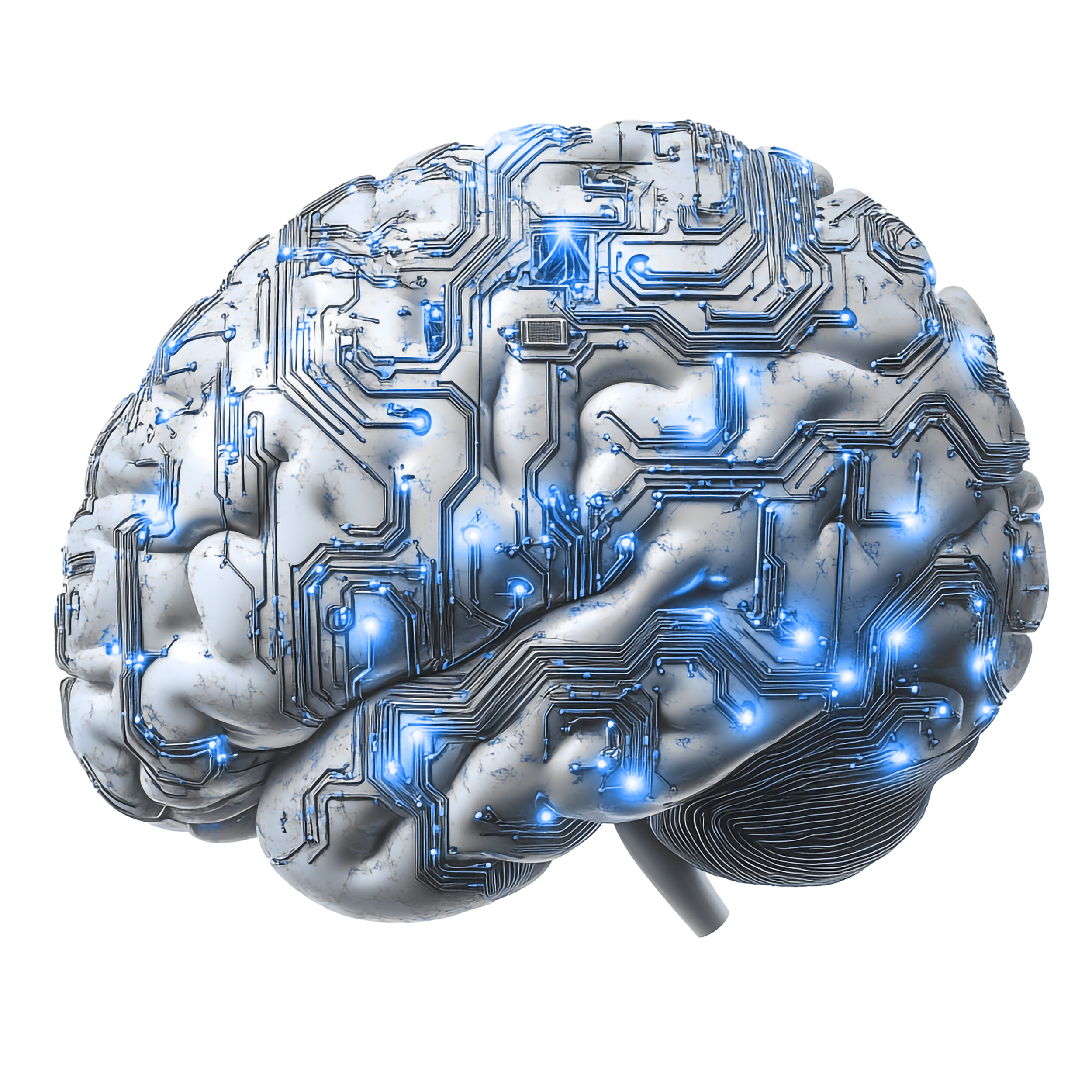 Digital Brain